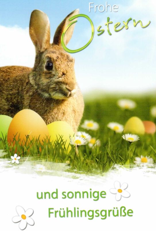 Oster Grußkarte Frohe Ostern und sonnige Frühlingsgrüße